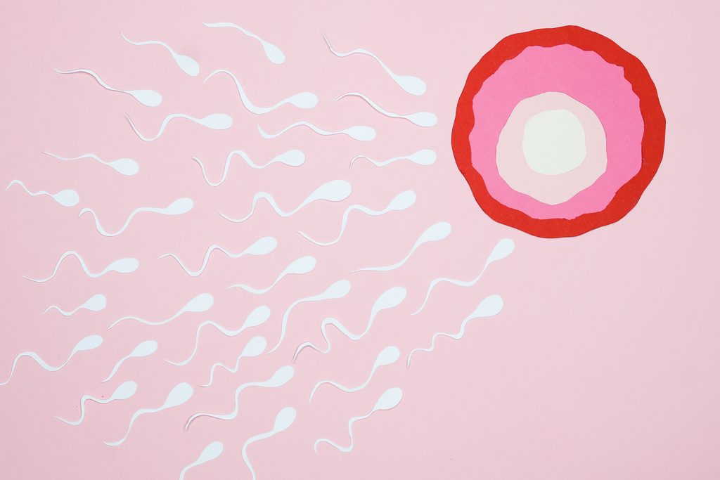 thérapeute fertilité