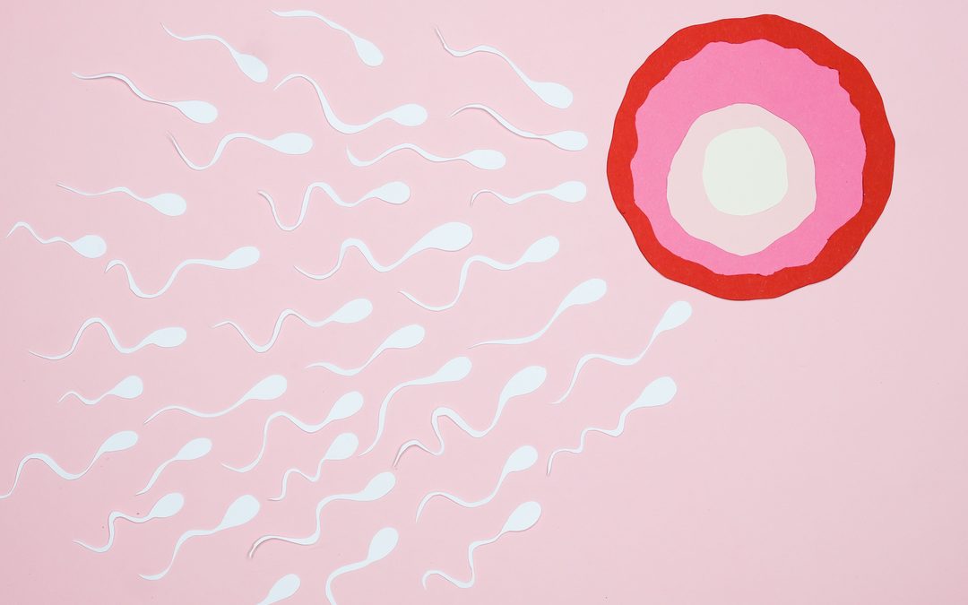 Thérapeute fertilité: améliorer son spermogramme